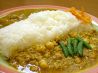 ガネッシュ カレー GANESH CURRYのおすすめポイント1