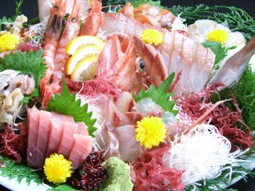 魚魚丸 新橋のおすすめ料理1