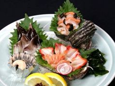 うえ乃寿しのおすすめ料理3