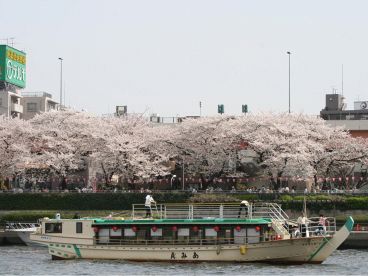 屋形船 あみ貞の雰囲気1