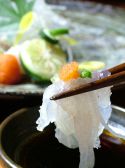 烏賊や 松山市 一番町のおすすめ料理2