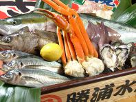 毎日、市場直送！