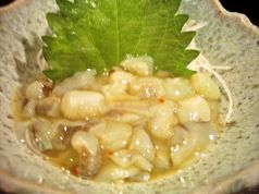 料理メニュー写真 タコわさ