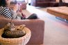 猫の居る休憩所299 にくきゅう 猫カフェのおすすめポイント1