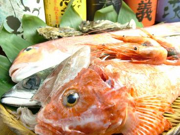 風音 目黒のおすすめ料理1