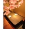 和桜ひらり 新橋店の写真