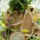 料理メニュー写真&nbsp;薩摩赤鶏のたたきと京水菜のカルパッチョ
