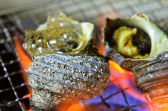 菜八 居酒屋のおすすめ料理2