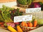 大地がごちそう 三宮店