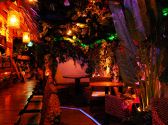 ジャングル jungle カフェ ヴィヴィアン VIVIANの雰囲気3