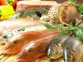 料理メニュー写真&nbsp;その日仕入れの地魚いろいろ