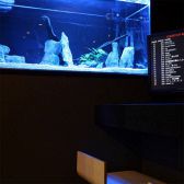 水槽近くブルーライトの雰囲気のある特等席