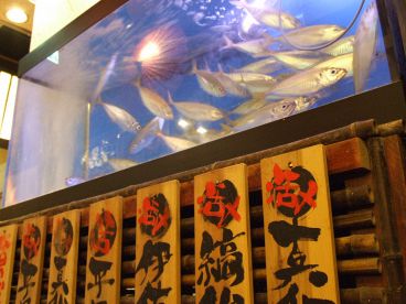 はなの舞 千葉富士見店の雰囲気1