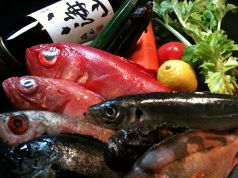酒と魚 かん禄の写真
