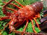 酒と魚 かん禄のおすすめポイント2