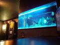 静岡　ダーツ&ダイニングバー Believe ビリーブの雰囲気