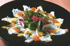 料理メニュー写真 タコの炙りカルパッチョ