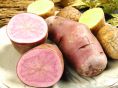 季節の野菜を入荷!旬の食材を堪能ください