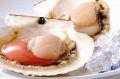 料理メニュー写真&nbsp;ホタテ貝柱（4個）