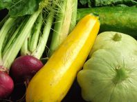 有機野菜たっぷり