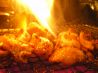 地鶏 串焼き かけはしのおすすめポイント1