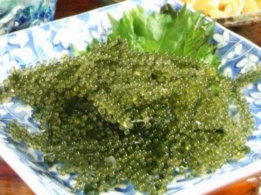 かめ太郎 亀戸のおすすめ料理1