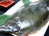 魚菜処 山葵 わさびのおすすめ料理2