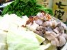 博多屋 高松店 もつ鍋のおすすめポイント2