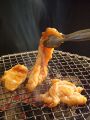 料理メニュー写真&nbsp;豚ホルモン