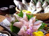 鳥商人と魚商人 九州鶏 黒焼き 遠州三河 魚串のおすすめ料理3