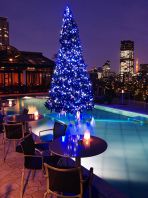 幻想的なクリスマスツリー