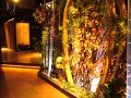 博多の桜みち 京都店の雰囲気1