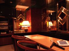 VIPルームを思わせる雰囲気のお部屋です。