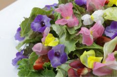 料理メニュー写真 花*花フラワーサラダ ~温玉添え~