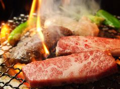 元 ゲン GENの特集写真