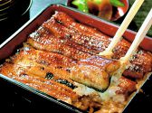 うなぎ・すっぽん・どじょう 築地丸正