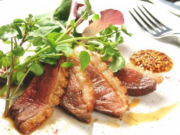 田ぶち 河内鴨料理のおすすめ料理1