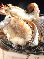 天草から毎日直送新鮮魚介
