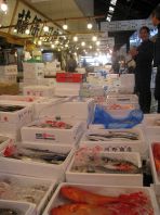 新鮮な魚介類をご賞味を！