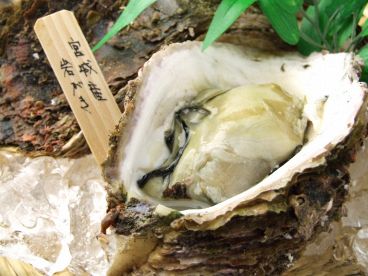 海鮮料理 ヤマヤ YAMAYA 成のおすすめ料理1