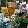 大急ぎで仕分けます~野菜は鮮度が命です