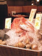 北陸からの産直の鮮魚たち