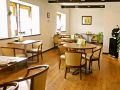 ビストロ テール Bistro Terreの雰囲気1