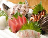 旬魚季菜 夜ばなしのおすすめ料理2