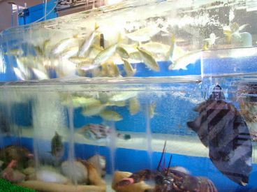 浜の水産 郡山市 大槻町の雰囲気1
