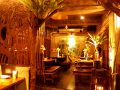 Deme金魚Dining でめきんぎょ ダイニングの雰囲気1