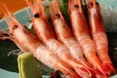 料理メニュー写真 甘海老刺身