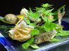 祇園 北斎のおすすめポイント3