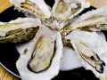料理メニュー写真&nbsp;カキのオーブン焼（1個）牡蠣醤油風味