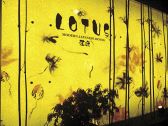LOTUS ロータス 蓮庭の雰囲気3